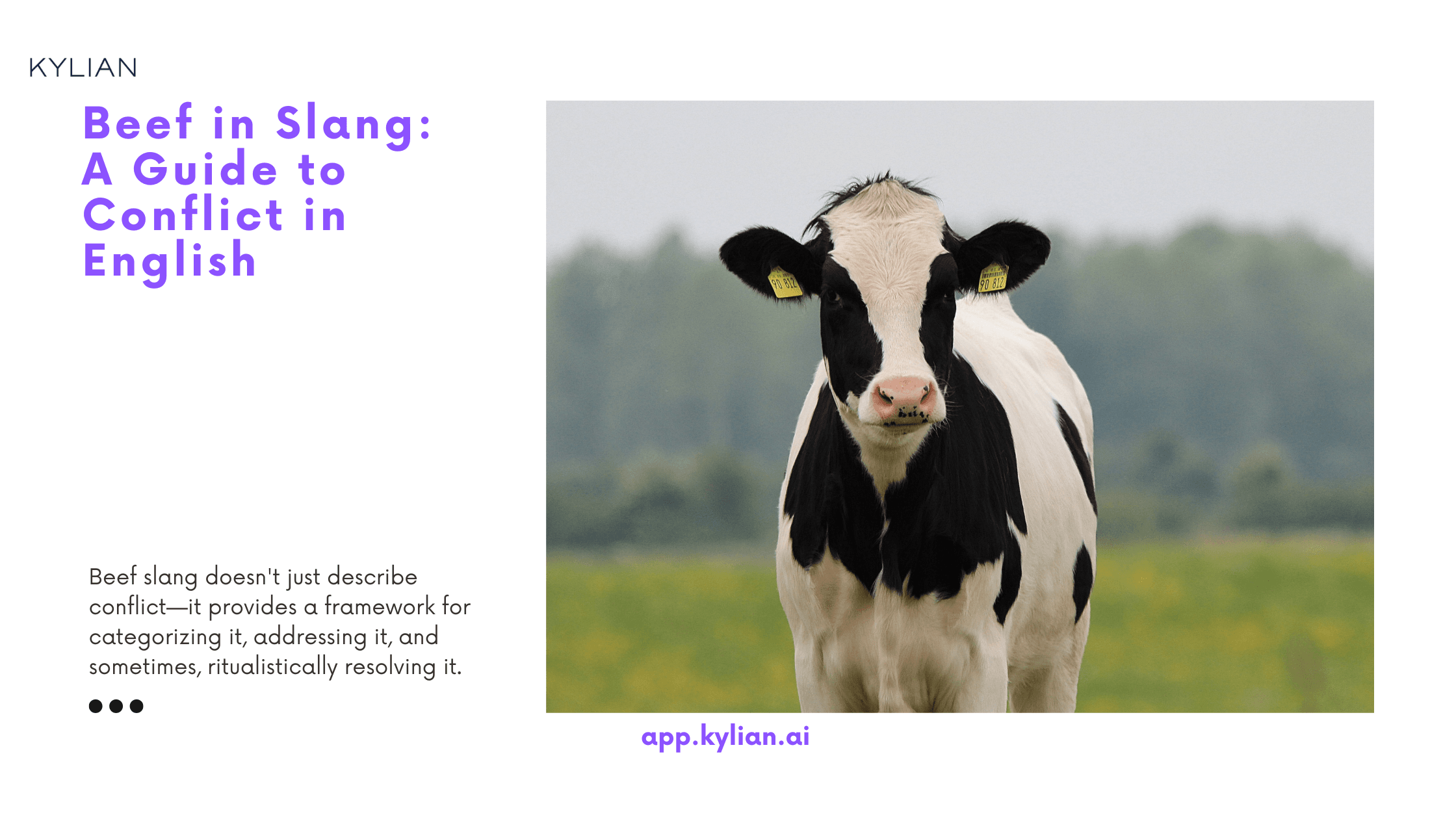 Beef in Slang: A Guide to Conflict in English