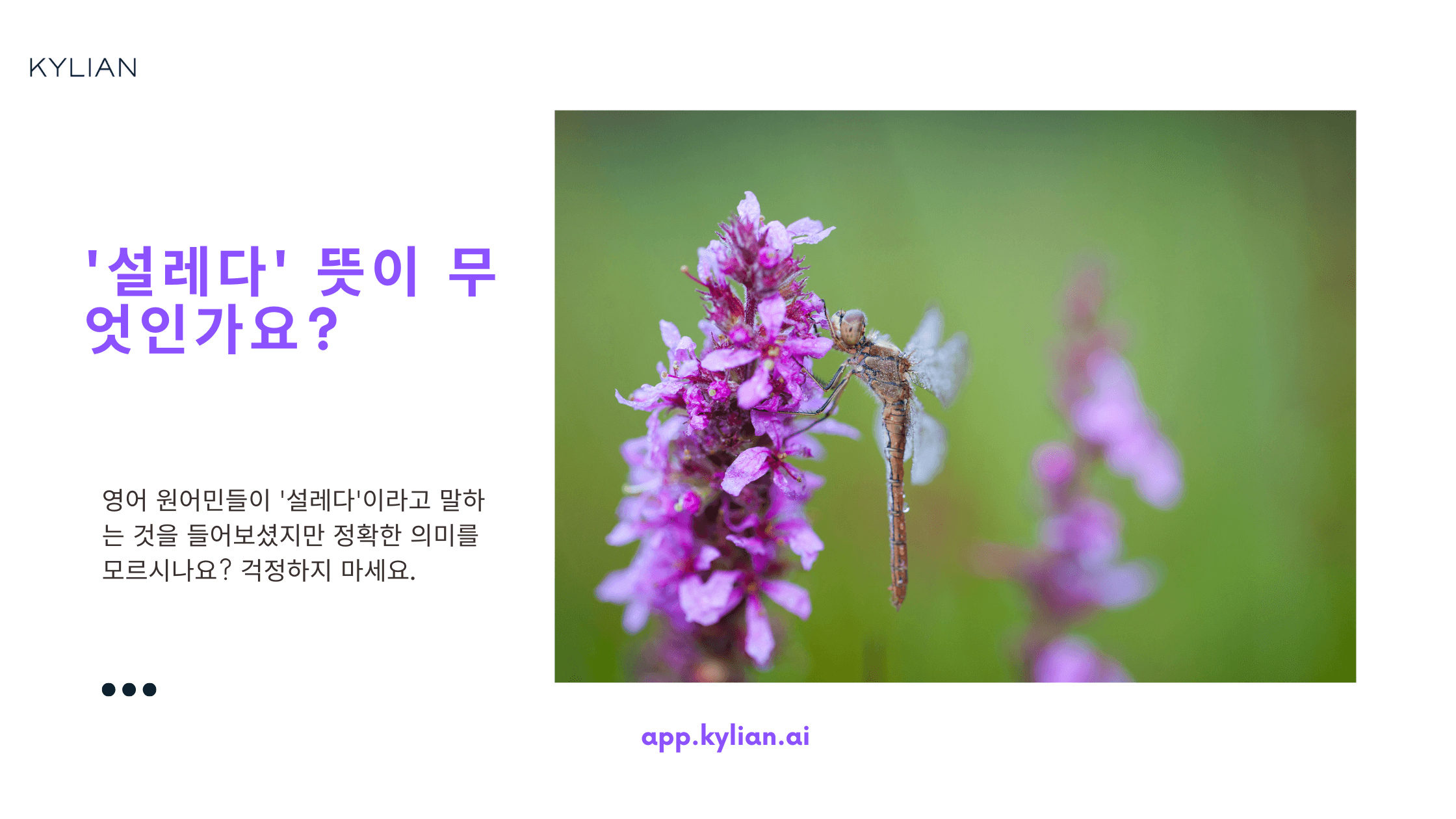 마음이 콩닥콩닥, ‘설레다’ 영어로 표현하기