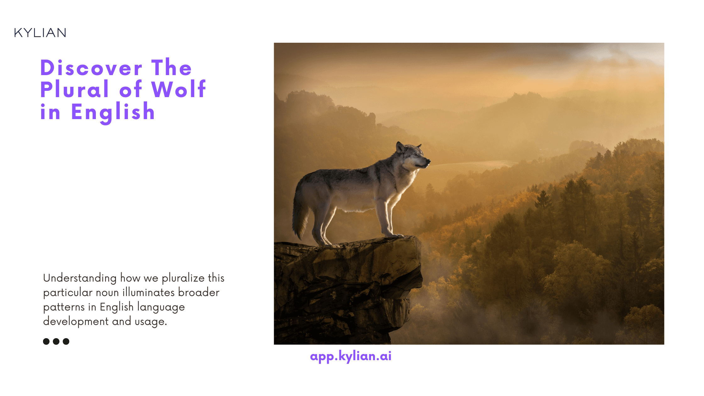 Discover The Plural of Wolf in English