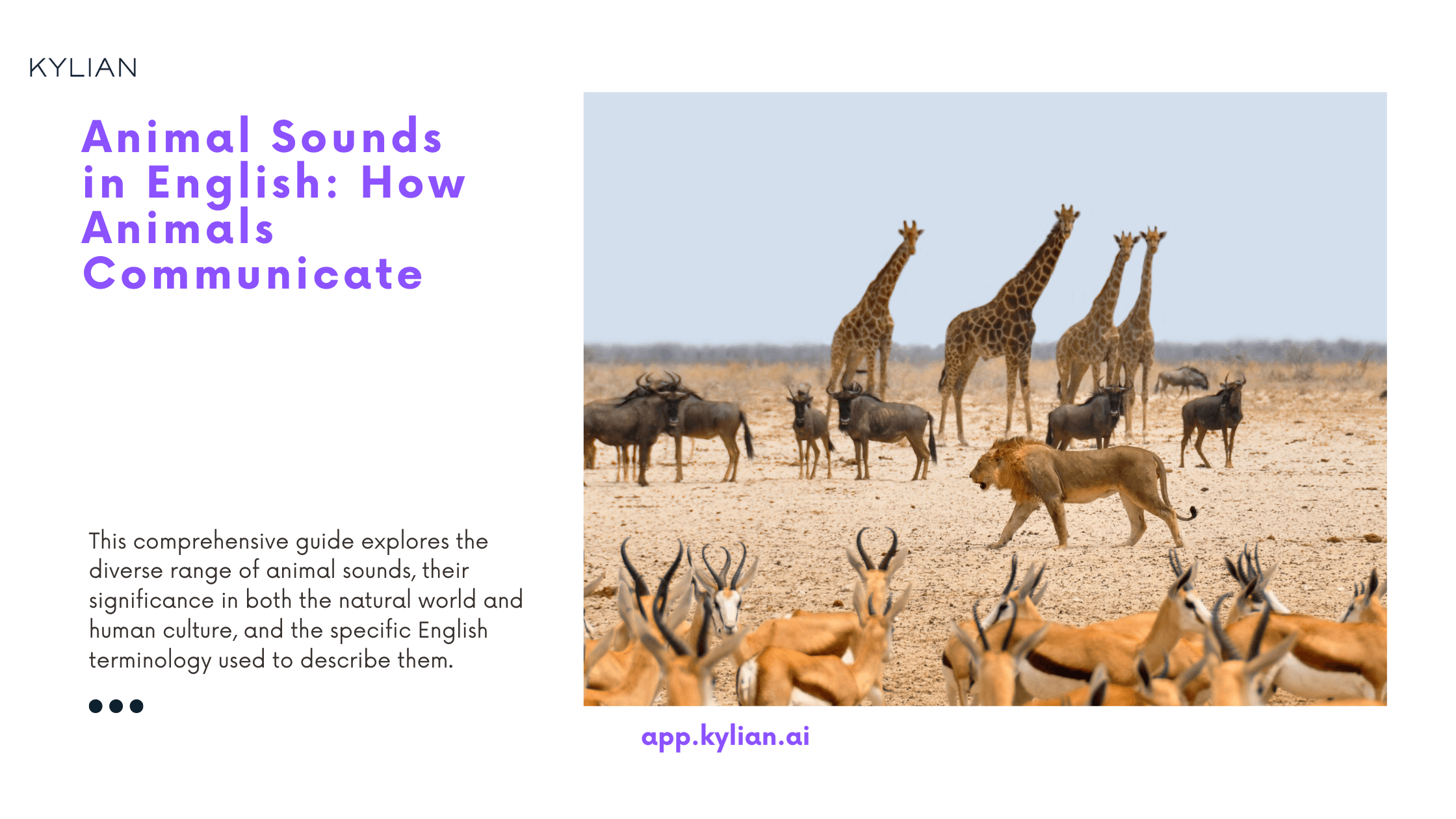 Animal Sounds in English: How Animals Communicate