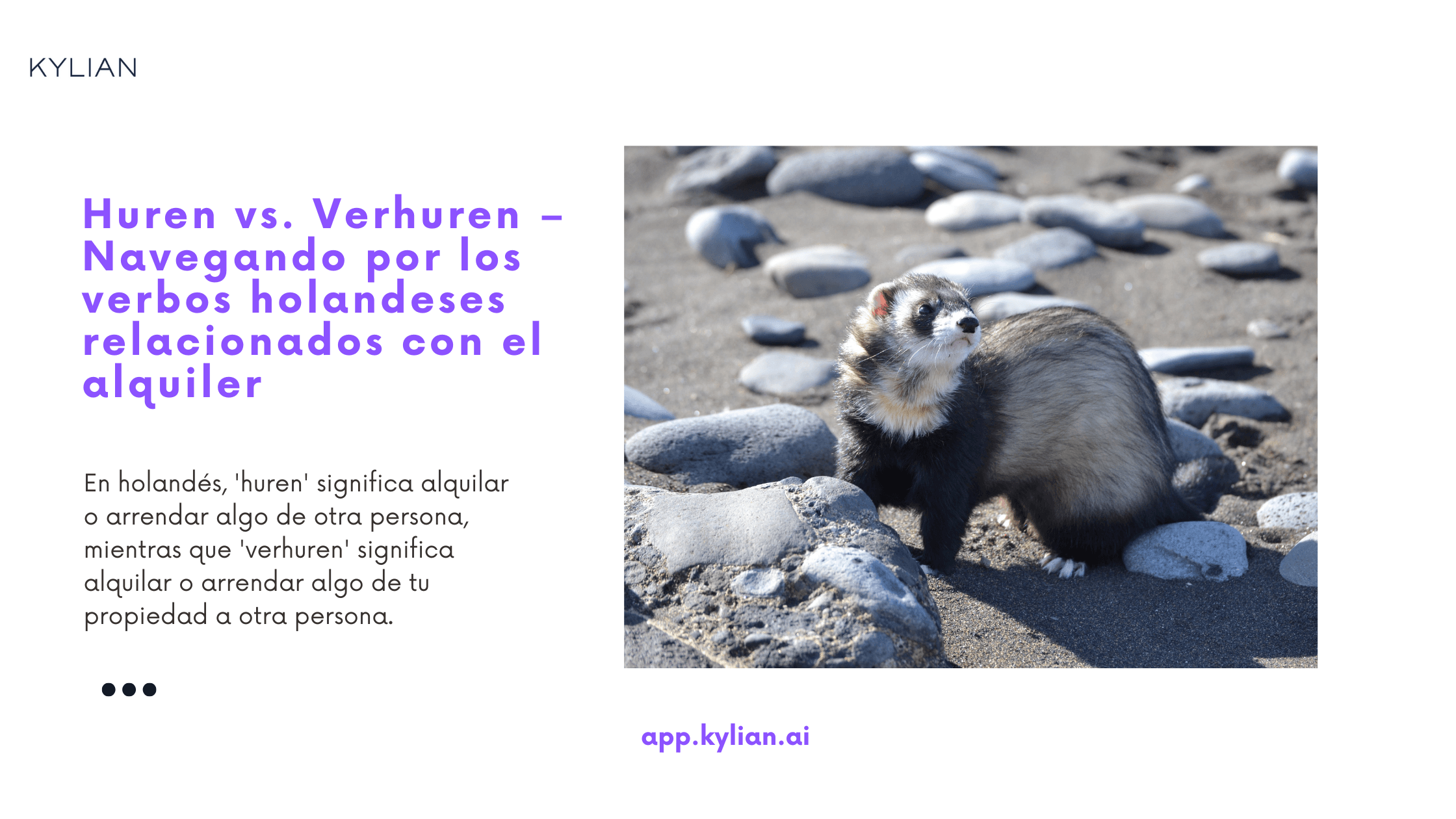 Huren vs. Verhuren – Navegando por los verbos holandeses relacionados con el alquiler