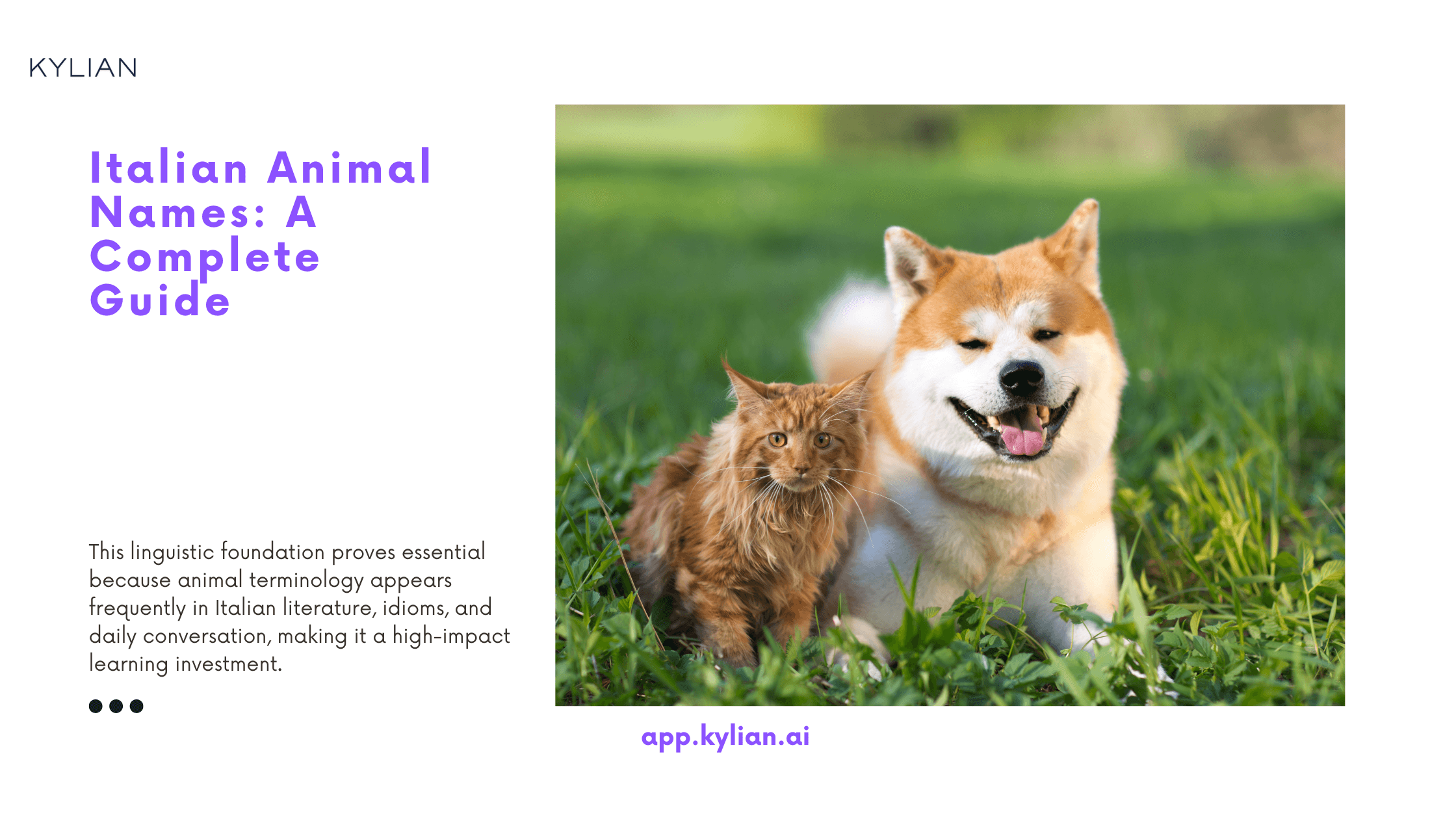 Italian Animal Names: A Complete Guide