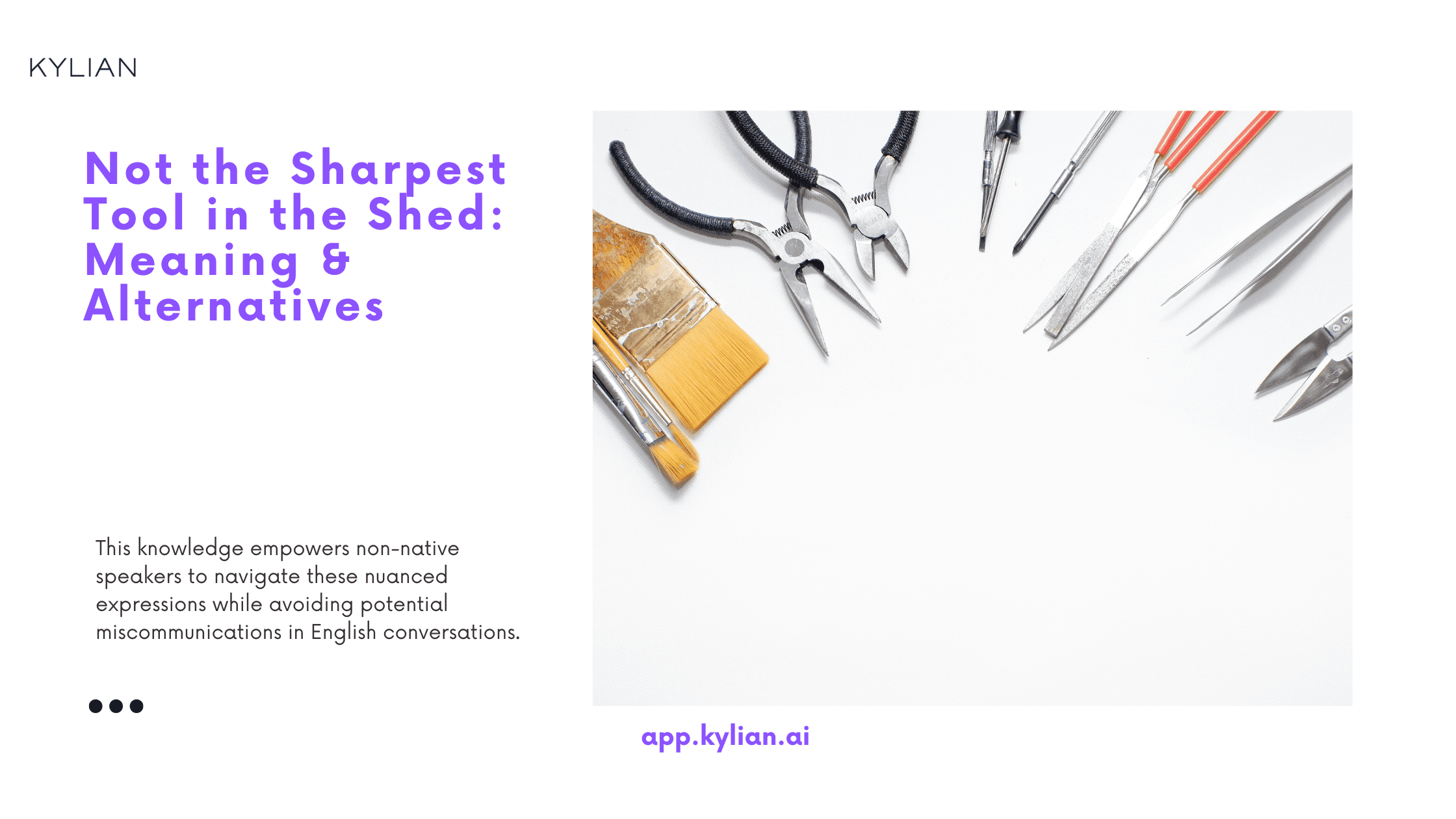 Not the Sharpest Tool in the Shed: Meaning & Alternatives