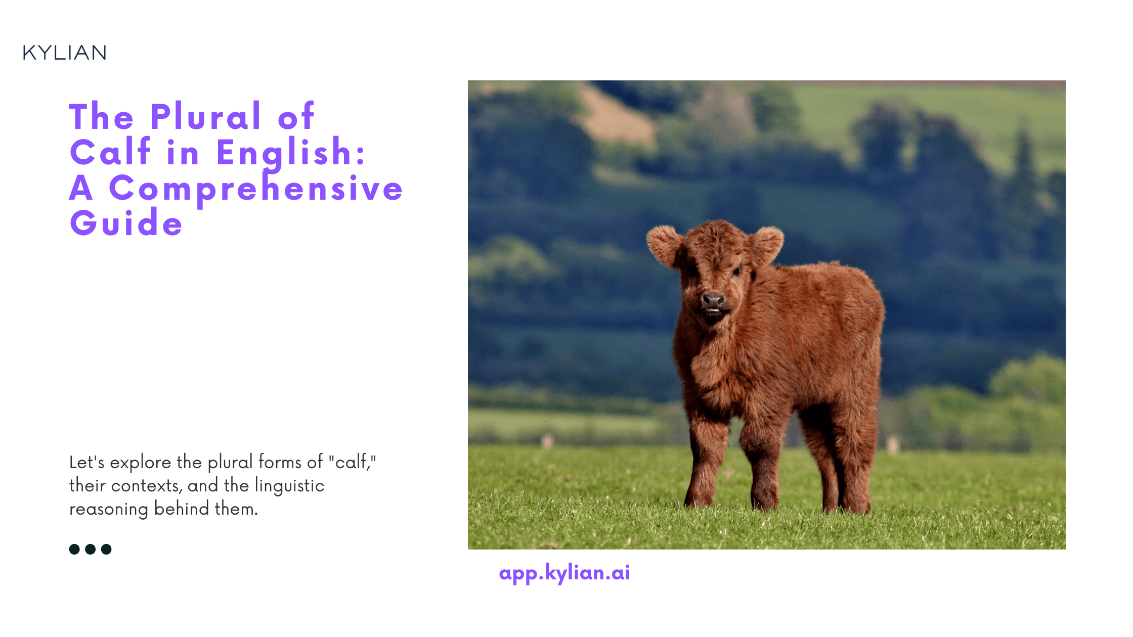 The Plural of Calf in English: A Comprehensive Guide