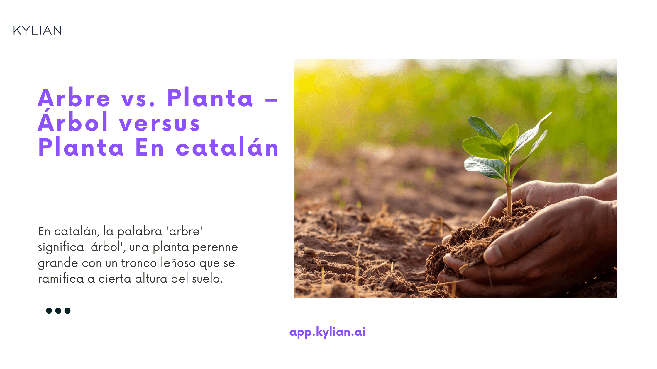 Arbre vs. Planta – Árbol versus Planta En catalán