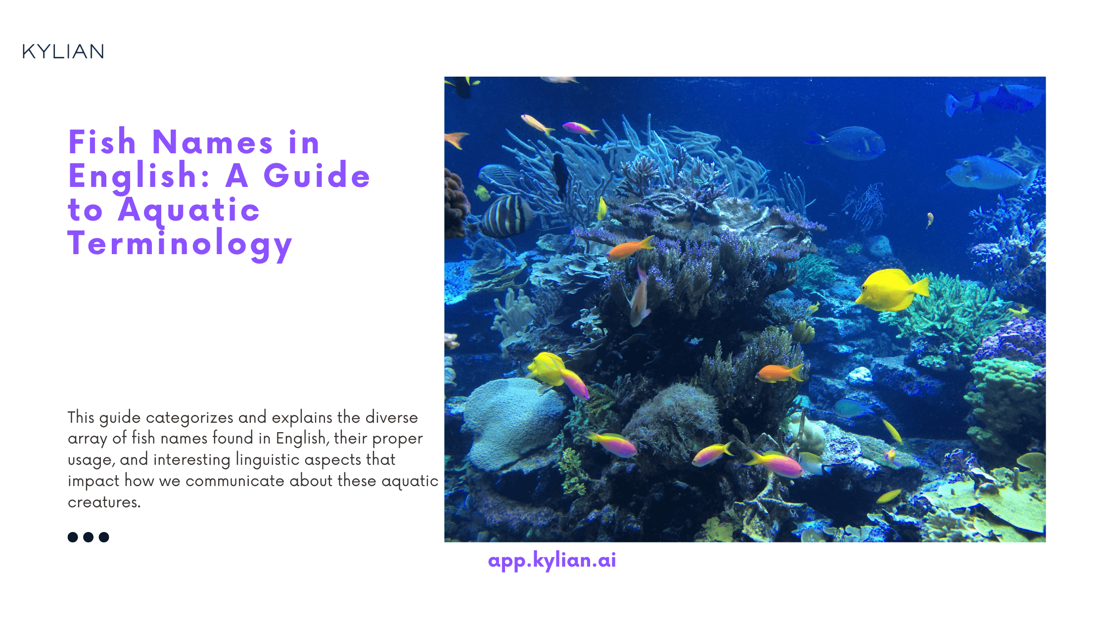 Fish Names in English: A Guide to Aquatic Terminology