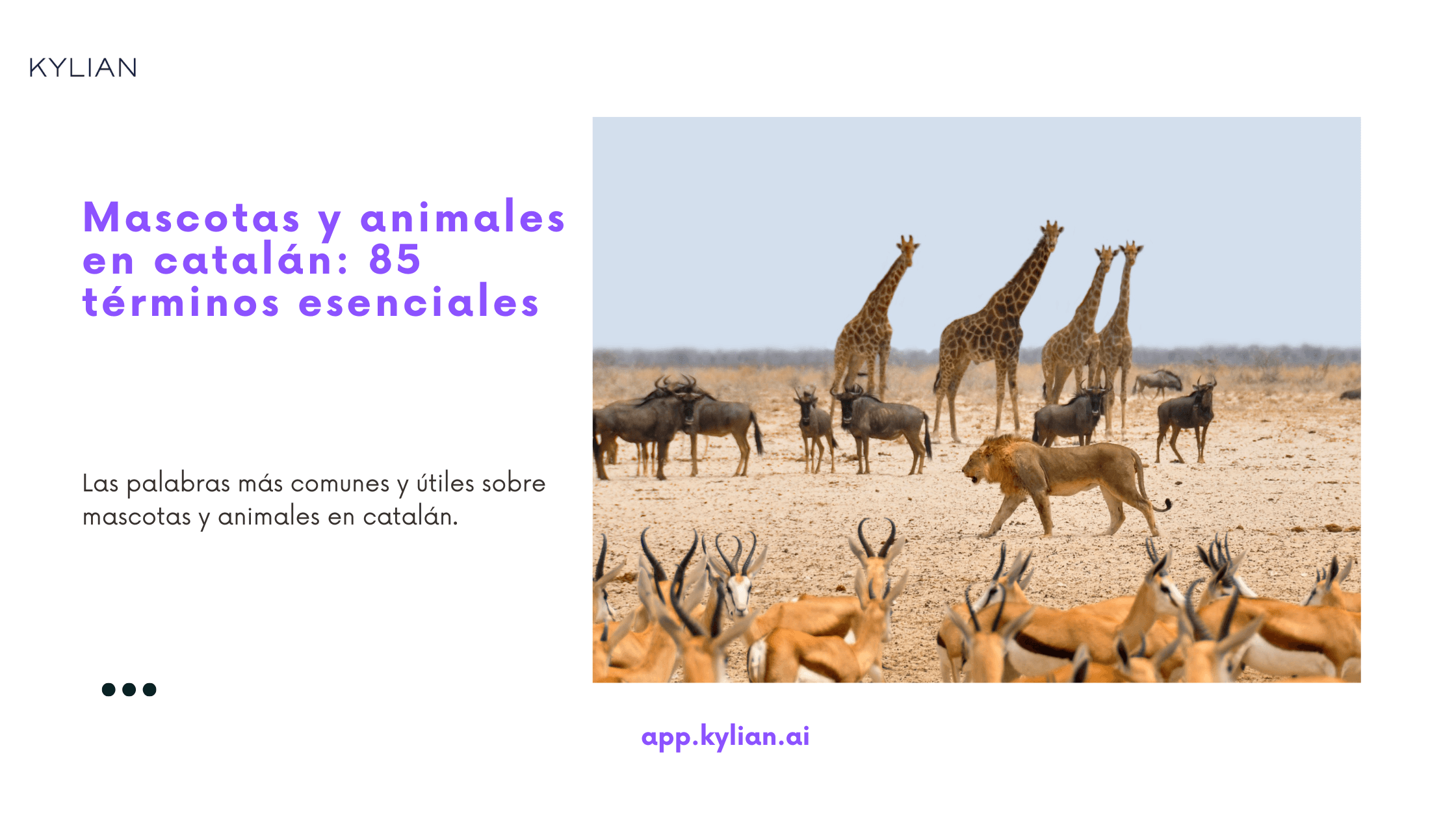 Mascotas y animales en catalán: 85 términos esenciales