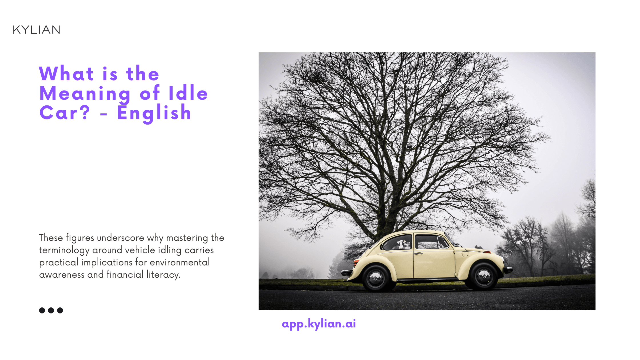 What is the Meaning of Idle Car? - English