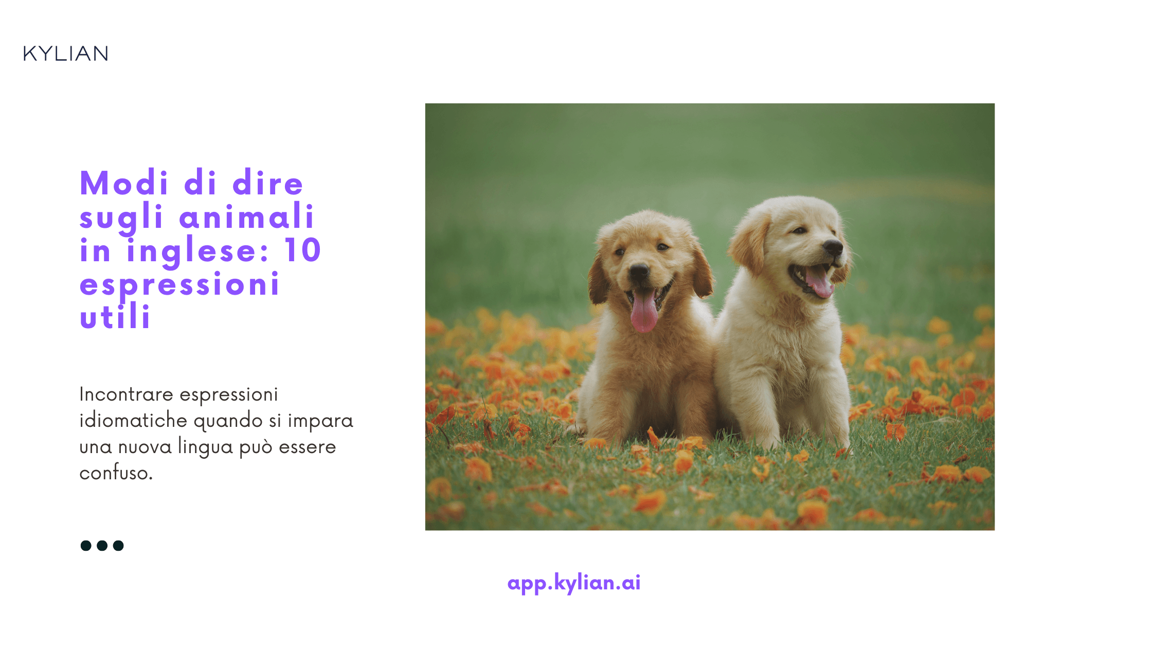 Modi di dire sugli animali in inglese: 10 espressioni utili