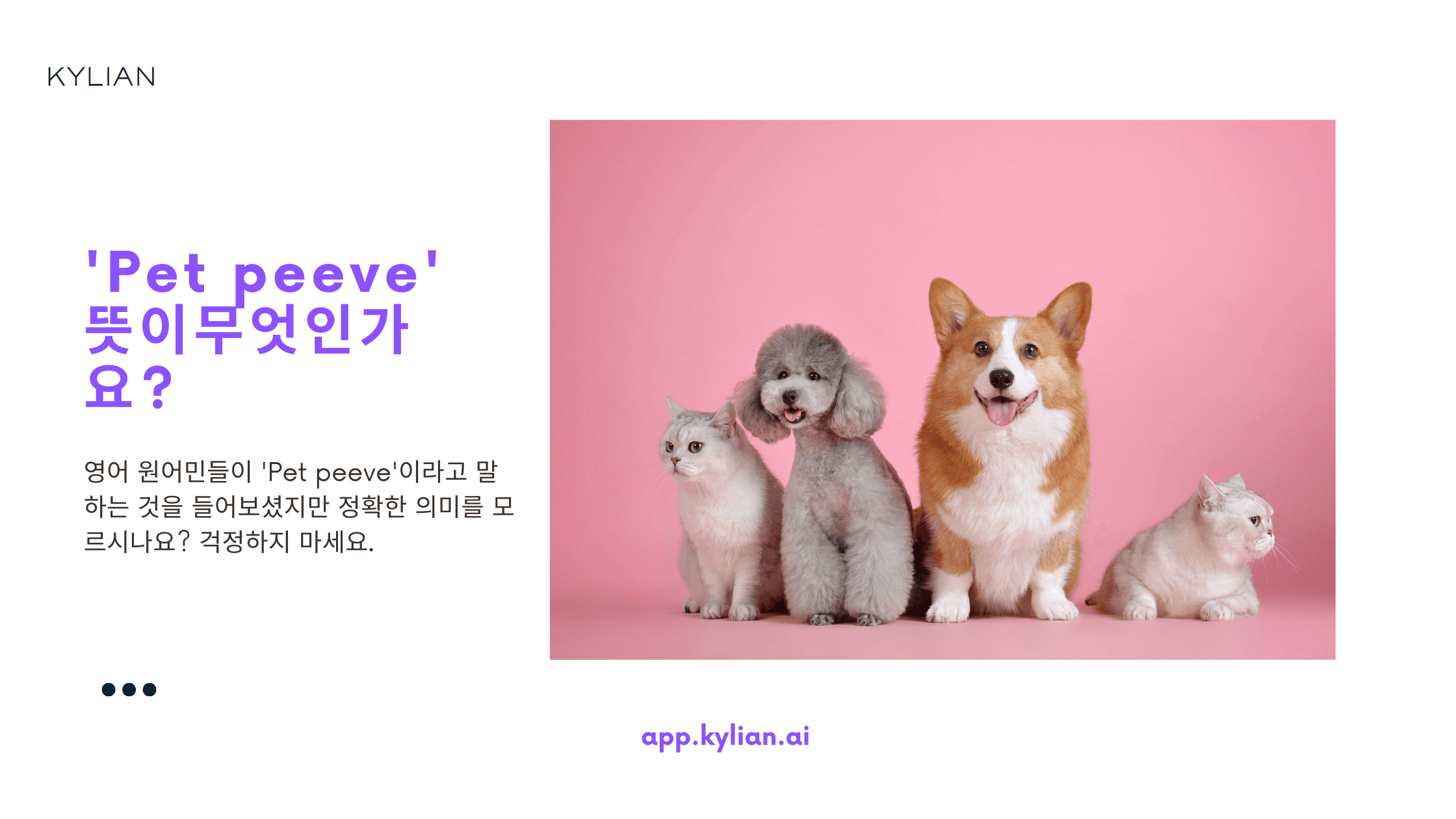 그냥 봐서는 감도 안 잡히는 ‘Pet peeve’ 무슨 뜻일까?