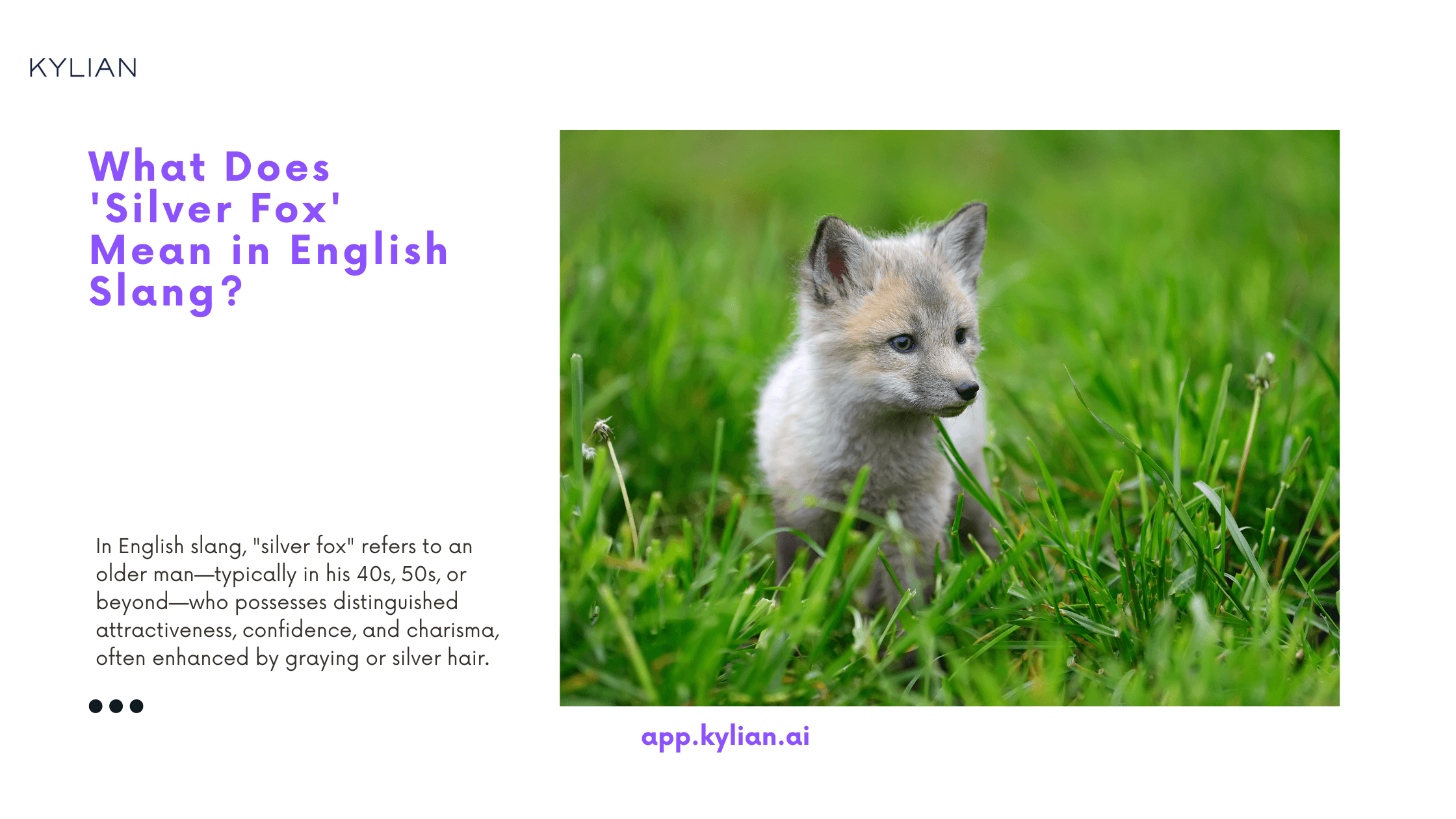 What Does 'Silver Fox' Mean in English Slang?