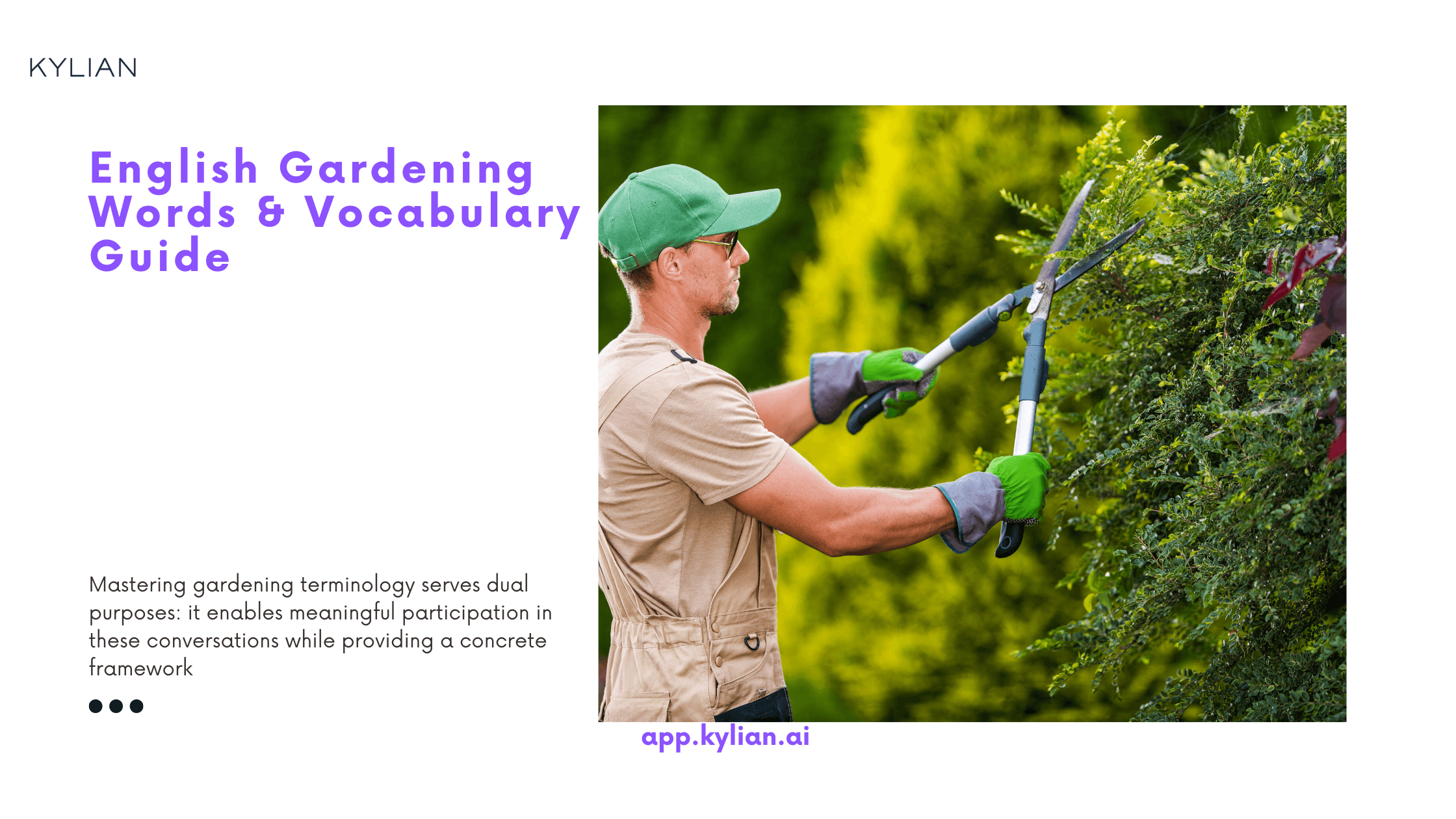English Gardening Words & Vocabulary Guide