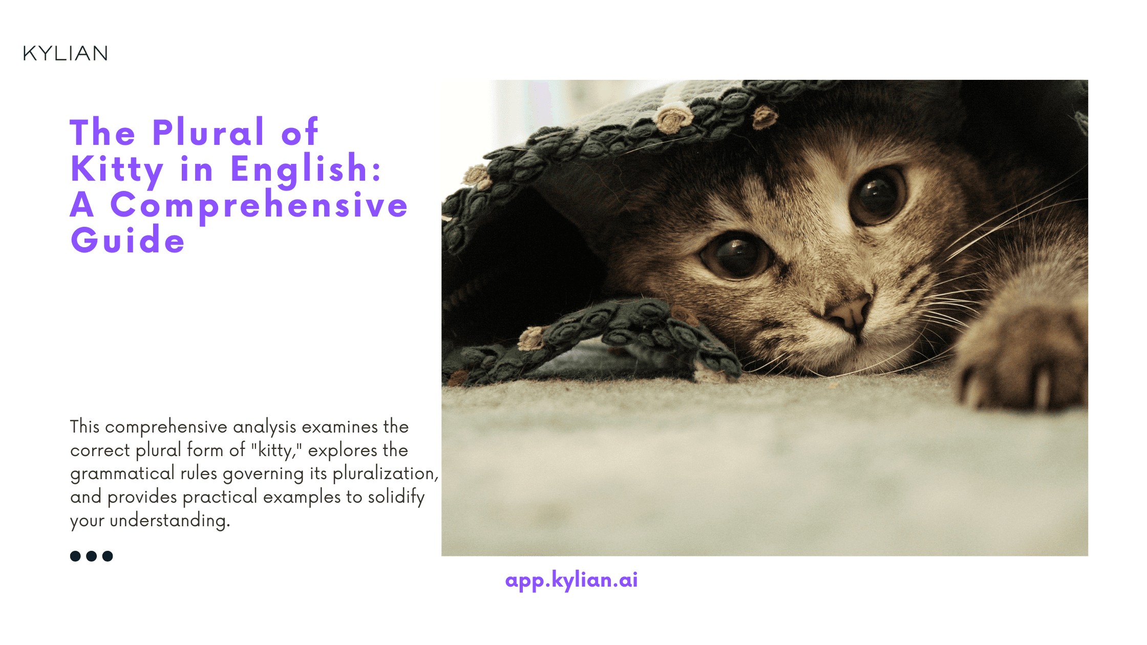 The Plural of Kitty in English: A Comprehensive Guide