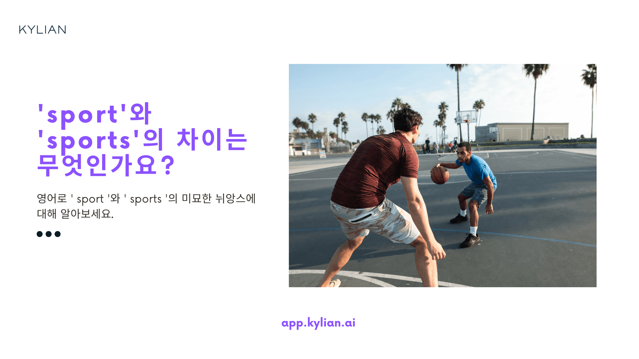 'sport'와 'sports'의 사용 차이점이 뭔가요?