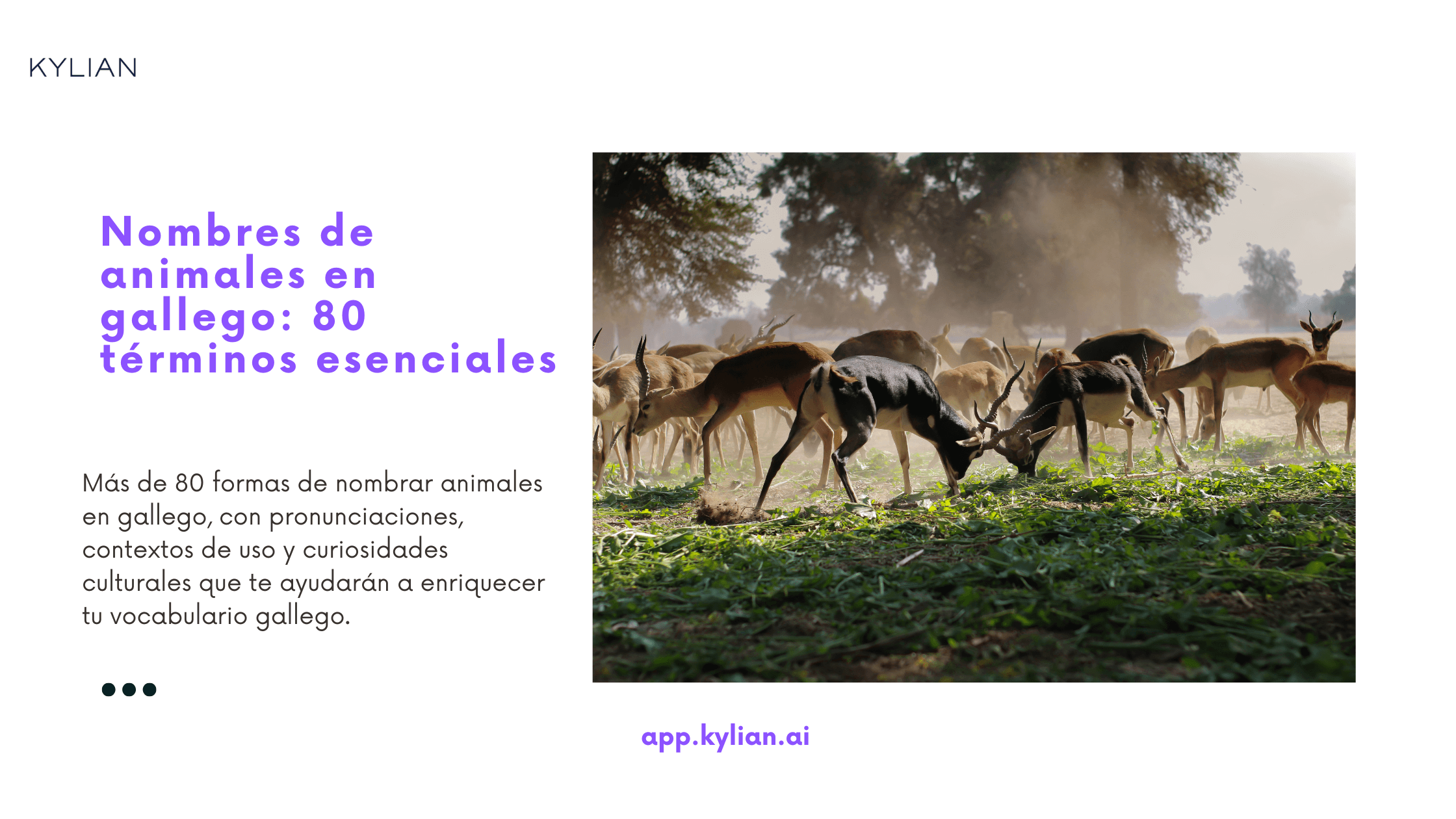 Nombres de animales en gallego: 80 términos esenciales